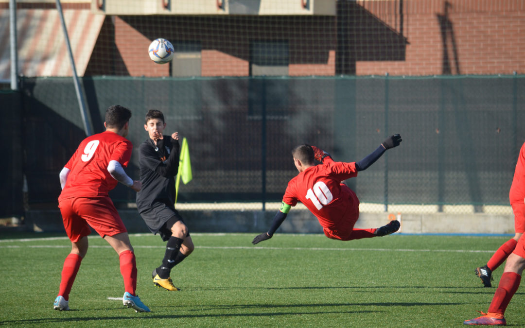 Il Settore Giovanile del Chieri è protagonista con tutte le annate