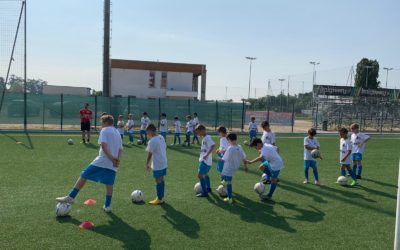 Scuola Calcio, il punto a metà stagione del vicepresidente Tinozzi